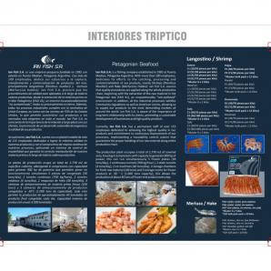 <p>Folleto triptico interior - Ian Fish<p>